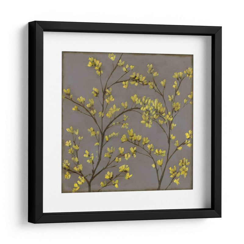 Forsythia Ii - Jennifer Goldberger | Cuadro decorativo de Canvas Lab