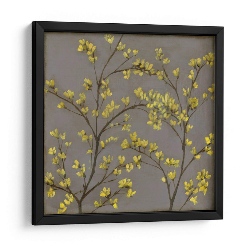 Forsythia Ii - Jennifer Goldberger | Cuadro decorativo de Canvas Lab