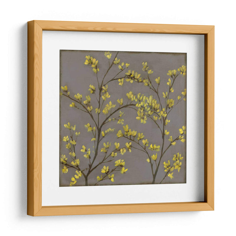 Forsythia Ii - Jennifer Goldberger | Cuadro decorativo de Canvas Lab