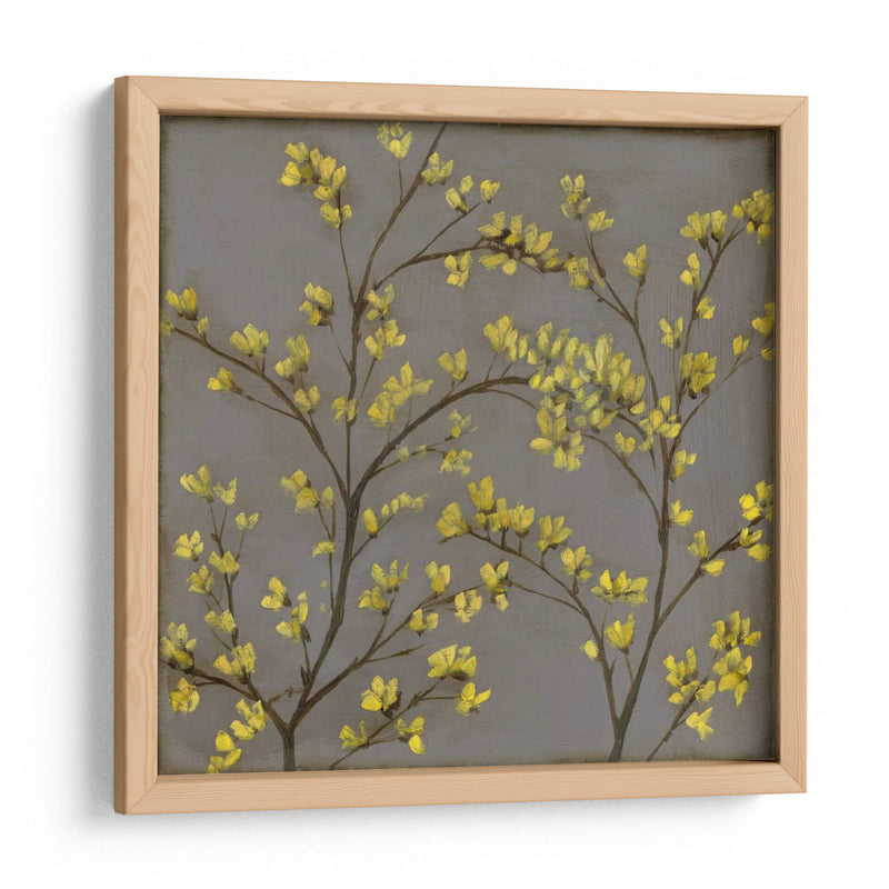 Forsythia Ii - Jennifer Goldberger | Cuadro decorativo de Canvas Lab