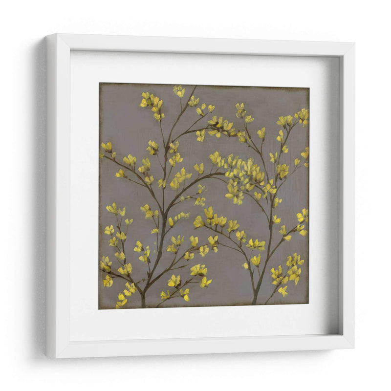 Forsythia Ii - Jennifer Goldberger | Cuadro decorativo de Canvas Lab