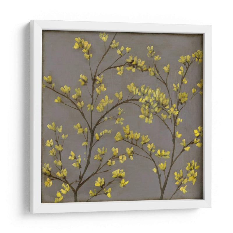 Forsythia Ii - Jennifer Goldberger | Cuadro decorativo de Canvas Lab