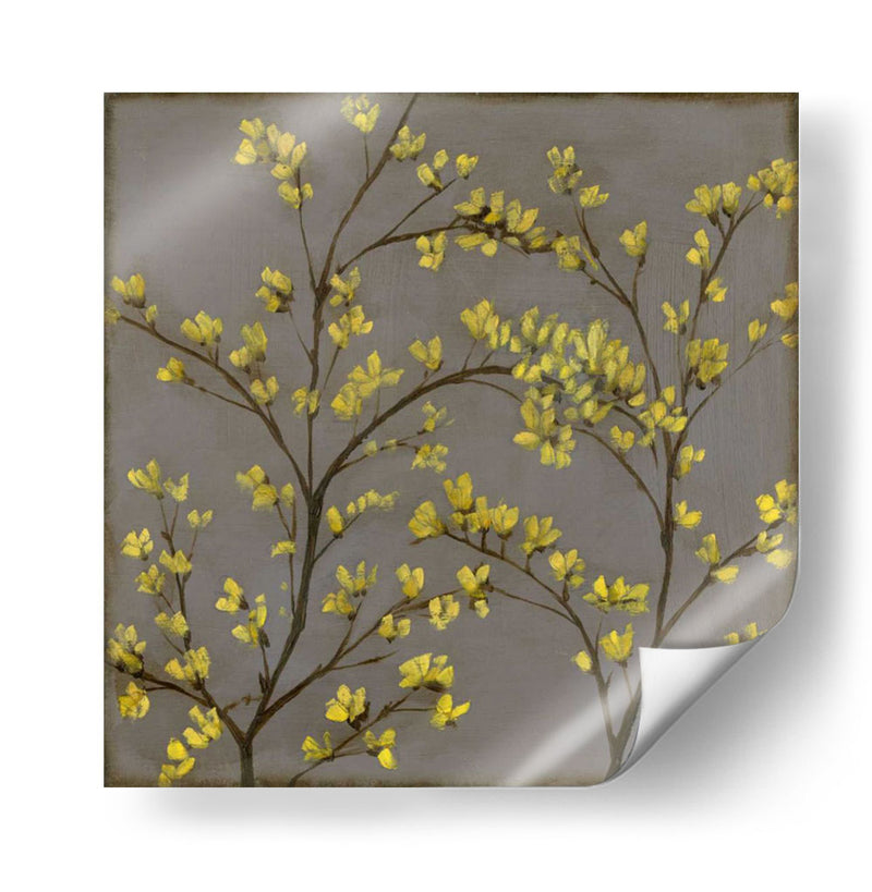 Forsythia Ii - Jennifer Goldberger | Cuadro decorativo de Canvas Lab