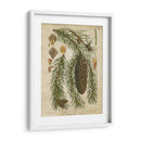 Coníferas Vintage I - Vision Studio | Cuadro decorativo de Canvas Lab