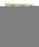 Coníferas Vintage Iv - Vision Studio | Cuadro decorativo de Canvas Lab