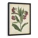 Pantalla Botánica Iv - Vision Studio | Cuadro decorativo de Canvas Lab