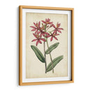 Pantalla Botánica Vi - Vision Studio | Cuadro decorativo de Canvas Lab