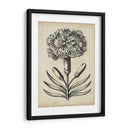 Distinguido Floral Ii - Vision Studio | Cuadro decorativo de Canvas Lab