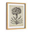 Distinguido Floral Ii - Vision Studio | Cuadro decorativo de Canvas Lab