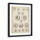 Monedas Romanas Antiguas Iii | Cuadro decorativo de Canvas Lab