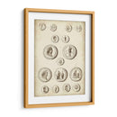 Monedas Romanas Antiguas Iii | Cuadro decorativo de Canvas Lab