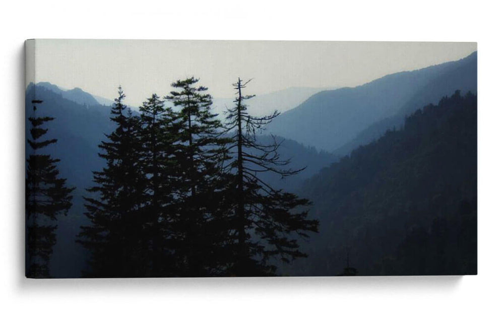 Silueta De Alto País I - Danny Head | Cuadro decorativo de Canvas Lab