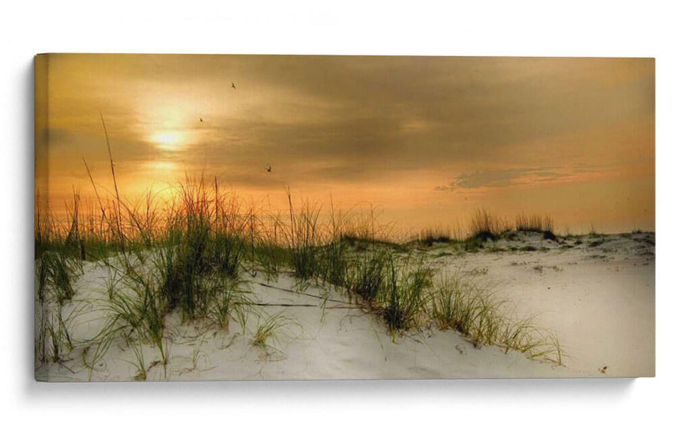 Gaviotas Al Amanecer - Danny Head | Cuadro decorativo de Canvas Lab