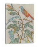 Collage De Aviario Ii - Megan Meagher | Cuadro decorativo de Canvas Lab