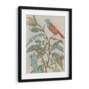 Collage De Aviario Ii - Megan Meagher | Cuadro decorativo de Canvas Lab