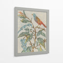 Collage De Aviario Ii - Megan Meagher | Cuadro decorativo de Canvas Lab