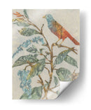 Collage De Aviario Ii - Megan Meagher | Cuadro decorativo de Canvas Lab