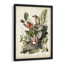 Audubons American Robin - John James Audubon | Cuadro decorativo de Canvas Lab