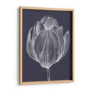 Tulipán Monocromo I - Jennifer Goldberger | Cuadro decorativo de Canvas Lab