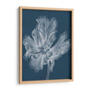 Tulipán Monocromo Ii - Jennifer Goldberger | Cuadro decorativo de Canvas Lab