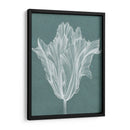 Tulipán Monocromo V - Jennifer Goldberger | Cuadro decorativo de Canvas Lab