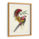 Lemaire Parrots Iii - C.L. Lemaire | Cuadro decorativo de Canvas Lab