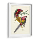 Lemaire Parrots Iii - C.L. Lemaire | Cuadro decorativo de Canvas Lab