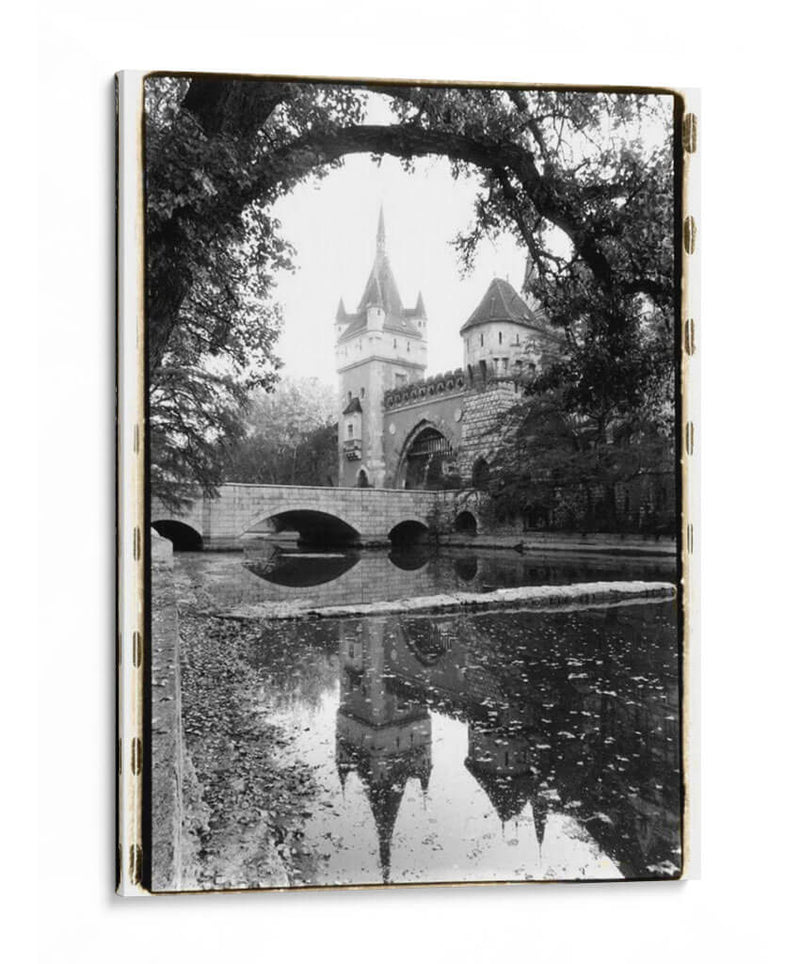 Reflejos Del Castillo, Vajdahunyad - Laura DeNardo | Cuadro decorativo de Canvas Lab