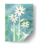 Margaritas Delicadas Ii - Alicia Ludwig | Cuadro decorativo de Canvas Lab