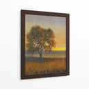 Firelight Ii - Tim OToole | Cuadro decorativo de Canvas Lab