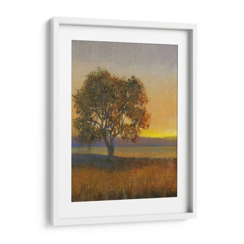 Firelight Ii - Tim OToole | Cuadro decorativo de Canvas Lab