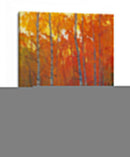 Cambiando Los Colores I - Tim OToole | Cuadro decorativo de Canvas Lab