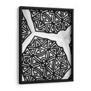 Buckminster Iii - Renee W. Stramel | Cuadro decorativo de Canvas Lab