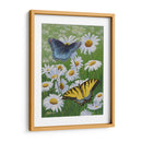 Mariposas Y Margaritas - Fred Szatkowski | Cuadro decorativo de Canvas Lab