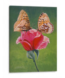 Compartiendo Una Rosa - Fred Szatkowski | Cuadro decorativo de Canvas Lab