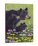 Osos Negros - Fred Szatkowski | Cuadro decorativo de Canvas Lab