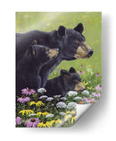 Osos Negros - Fred Szatkowski | Cuadro decorativo de Canvas Lab