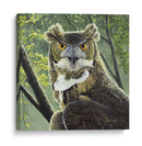 Gran Búho Cornado - Fred Szatkowski | Cuadro decorativo de Canvas Lab