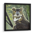 Gran Búho Cornado - Fred Szatkowski | Cuadro decorativo de Canvas Lab