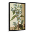 Azul Francés I - W. Green-Aldridge | Cuadro decorativo de Canvas Lab