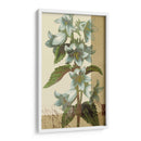 Azul Francés I - W. Green-Aldridge | Cuadro decorativo de Canvas Lab