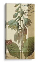 Azul Francés Ii - W. Green-Aldridge | Cuadro decorativo de Canvas Lab