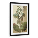 Azul Francés Ii - W. Green-Aldridge | Cuadro decorativo de Canvas Lab