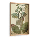 Azul Francés Ii - W. Green-Aldridge | Cuadro decorativo de Canvas Lab