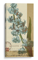 Azul Francés Iii - W. Green-Aldridge | Cuadro decorativo de Canvas Lab