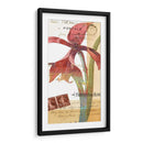 Coronando Gloria I - W. Green-Aldridge | Cuadro decorativo de Canvas Lab