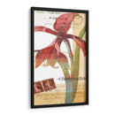 Coronando Gloria I - W. Green-Aldridge | Cuadro decorativo de Canvas Lab