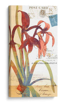 Coronando Gloria Ii - W. Green-Aldridge | Cuadro decorativo de Canvas Lab