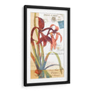 Coronando Gloria Ii - W. Green-Aldridge | Cuadro decorativo de Canvas Lab