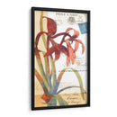 Coronando Gloria Ii - W. Green-Aldridge | Cuadro decorativo de Canvas Lab